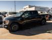 2023 Ford F-150 XLT (Stk: P-2073) in Calgary - Image 2 of 25