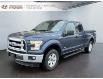 2017 Ford F-150 XLT (Stk: 240684NA) in Grand Falls - Image 1 of 18