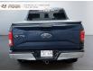 2017 Ford F-150 XLT (Stk: 240684NA) in Grand Falls - Image 3 of 18