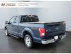 2017 Ford F-150 XLT (Stk: 240684NA) in Grand Falls - Image 4 of 18