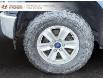 2017 Ford F-150 XLT (Stk: 240684NA) in Grand Falls - Image 7 of 18