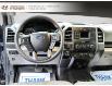 2017 Ford F-150 XLT (Stk: 240684NA) in Grand Falls - Image 9 of 18