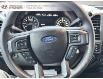 2017 Ford F-150 XLT (Stk: 240684NA) in Grand Falls - Image 11 of 18