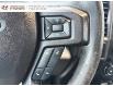 2017 Ford F-150 XLT (Stk: 240684NA) in Grand Falls - Image 12 of 18