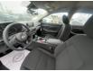 2024 Nissan Sentra S Plus (Stk: 24SN7928) in Cranbrook - Image 7 of 10