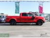2014 Ford F-150  (Stk: P17569AB) in North York - Image 9 of 30