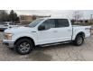 2020 Ford F-150 XLT (Stk: D113460A) in Kitchener - Image 3 of 18