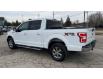 2020 Ford F-150 XLT (Stk: D113460A) in Kitchener - Image 4 of 18