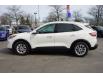 2020 Ford Escape SE (Stk: P3534) in Mississauga - Image 3 of 28
