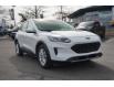 2020 Ford Escape SE (Stk: P3534) in Mississauga - Image 8 of 28