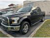 2015 Ford F-150  (Stk: TR91648A) in Windsor - Image 1 of 7