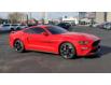 2021 Ford Mustang GT Premium (Stk: 46716A) in Windsor - Image 2 of 18