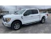 2022 Ford F-150 XLT (Stk: LP2052) in Waterloo - Image 3 of 20