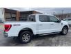 2022 Ford F-150 XLT (Stk: LP2052) in Waterloo - Image 5 of 20