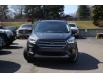 2019 Ford Escape SEL (Stk: M24174B) in Mississauga - Image 2 of 26