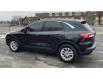2022 Ford Escape SE (Stk: LP2059) in Waterloo - Image 4 of 20