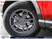 2024 Ford Bronco Sport Big Bend (Stk: BSF903) in Waterloo - Image 8 of 23