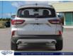 2024 Ford Escape Active (Stk: ZG069) in Waterloo - Image 5 of 21