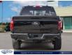 2024 Ford F-150 XLT (Stk: FF941) in Waterloo - Image 5 of 23