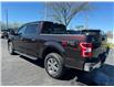 2019 Ford F-150 XLT (Stk: TR38452) in Windsor - Image 6 of 25