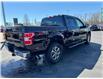 2019 Ford F-150 XLT (Stk: TR38452) in Windsor - Image 8 of 25