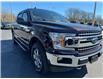 2019 Ford F-150 XLT (Stk: TR38452) in Windsor - Image 11 of 25