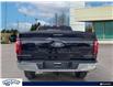 2024 Ford F-150 XLT (Stk: FF950) in Waterloo - Image 5 of 23
