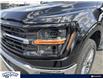 2024 Ford F-150 XLT (Stk: FF950) in Waterloo - Image 8 of 23