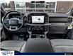 2024 Ford F-150 XLT (Stk: FF950) in Waterloo - Image 22 of 23