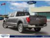 2024 Ford F-150 XLT (Stk: T835W3L) in Waterloo - Image 4 of 23