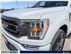 2023 Ford F-150 XLT (Stk: 24F3000A) in Kitchener - Image 8 of 24