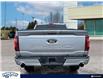 2024 Ford F-150 XLT (Stk: FF901) in Waterloo - Image 5 of 22