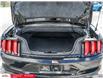 2021 Ford Mustang GT Premium (Stk: 62090) in Essex-Windsor - Image 11 of 29