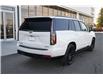 2024 Cadillac Escalade Sport Platinum (Stk: 117673) in Red Deer - Image 4 of 41