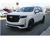 2024 Cadillac Escalade Sport Platinum (Stk: 117673) in Red Deer - Image 9 of 41