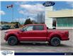 2024 Ford F-150 XLT (Stk: FF995) in Waterloo - Image 3 of 23