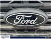 2024 Ford F-150 XLT (Stk: FF995) in Waterloo - Image 9 of 23