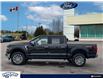 2024 Ford F-150 XLT (Stk: FF980) in Waterloo - Image 3 of 23