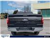 2024 Ford F-150 XLT (Stk: FF980) in Waterloo - Image 5 of 23