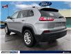 2019 Jeep Cherokee North (Stk: D114150A) in Kitchener - Image 4 of 25