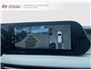 2024 Hyundai Palisade Urban 7 Passenger (Stk: 241690N) in Grand Falls - Image 15 of 17