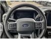 2024 Ford F-150 XLT (Stk: 24T2061) in Red Deer - Image 14 of 25