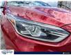 2019 Kia Forte EX (Stk: ZF952A) in Waterloo - Image 7 of 24