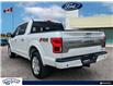 2020 Ford F-150 Platinum (Stk: FF932A) in Waterloo - Image 4 of 25