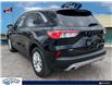 2020 Ford Escape SE (Stk: BSF933AX) in Waterloo - Image 4 of 25