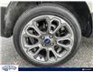 2020 Ford EcoSport Titanium (Stk: LP2094) in Waterloo - Image 6 of 25