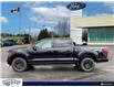 2024 Ford F-150 XLT (Stk: FG043) in Waterloo - Image 3 of 25