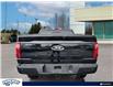 2024 Ford F-150 XLT (Stk: FG043) in Waterloo - Image 5 of 25