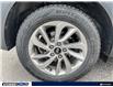 2016 Hyundai Tucson Premium (Stk: 24F0990AX) in Kitchener - Image 6 of 24