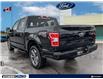 2020 Ford F-150 XL (Stk: D114480A) in Kitchener - Image 4 of 25